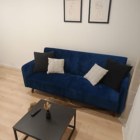 Superbe Appartement ! Saint-Etienne  Buitenkant foto