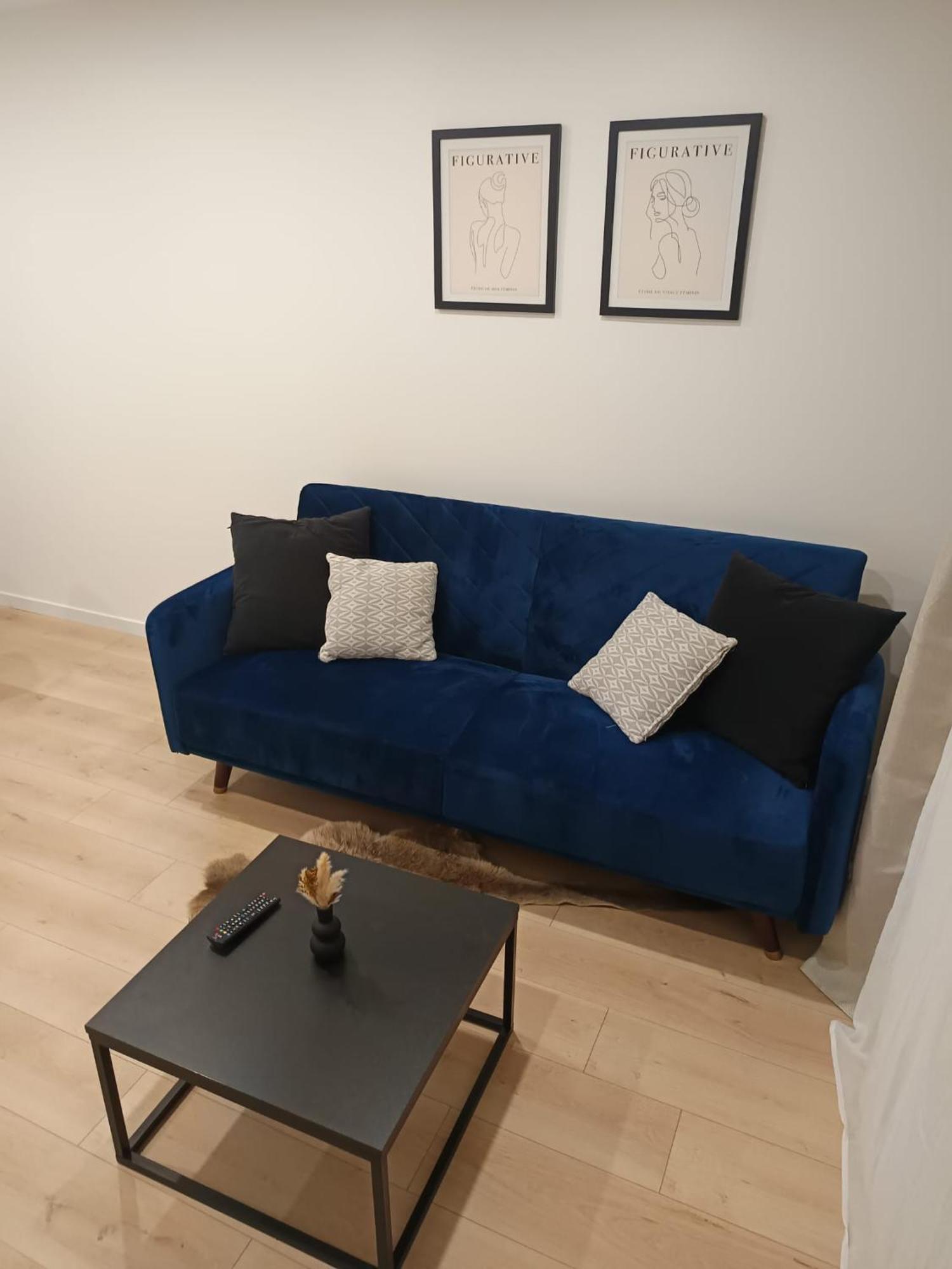 Superbe Appartement ! Saint-Etienne  Buitenkant foto