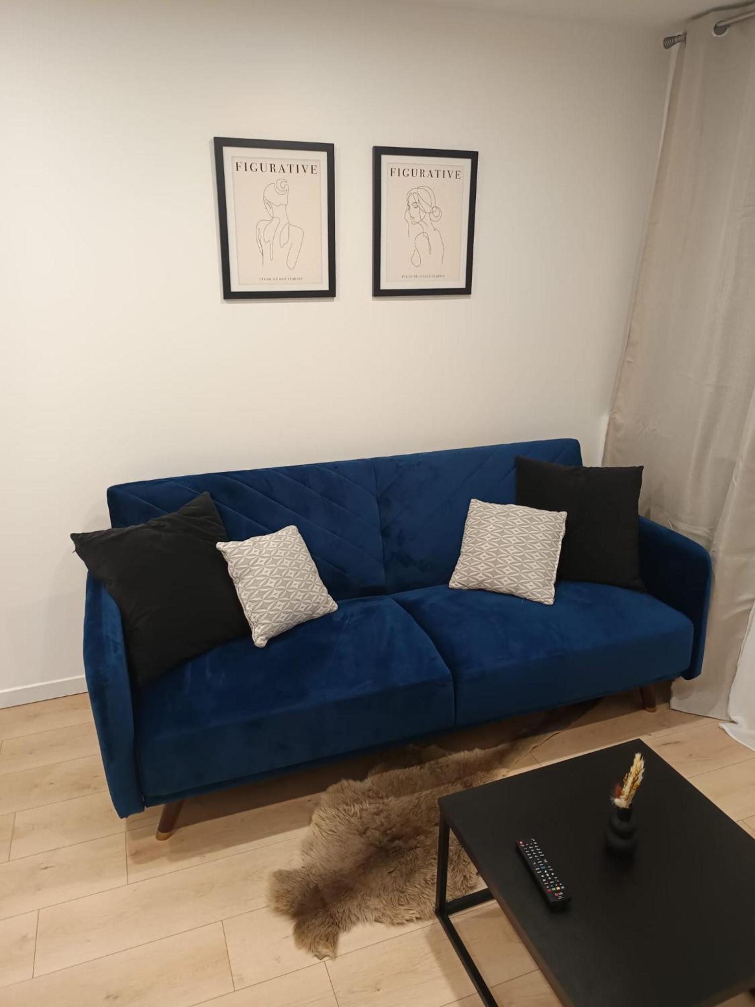 Superbe Appartement ! Saint-Etienne  Buitenkant foto