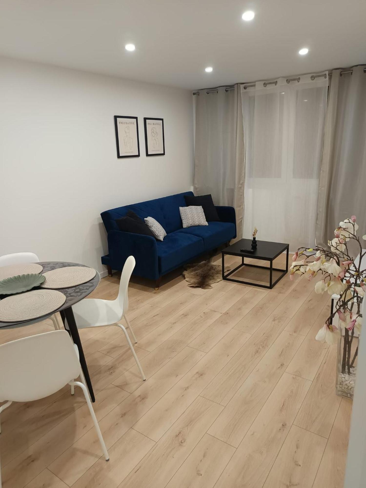 Superbe Appartement ! Saint-Etienne  Buitenkant foto